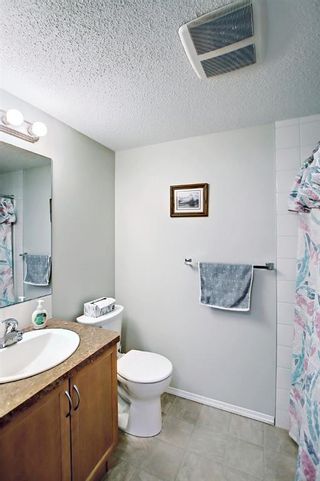 Photo 27: 2206 5200 44 Avenue NE in Calgary: Whitehorn Apartment for sale : MLS®# A1210439