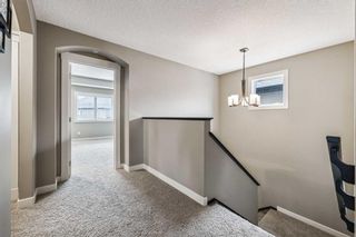 Photo 13: 41 Elgin Estates View SE in Calgary: McKenzie Towne Detached for sale : MLS®# A2117092