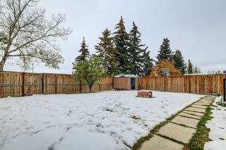 Photo 30: 188 Marquis Place SE: Airdrie Detached for sale : MLS®# A2008675