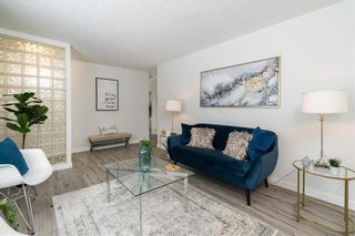 Photo 6: 14 Bayfield Avenue in Winnipeg: St Vital Residential for sale (2D)  : MLS®# 202228413