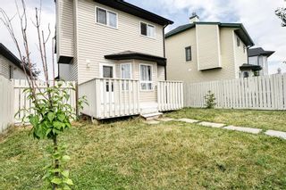 Photo 41: 261 Martin Crossing Way NE in Calgary: Martindale Detached for sale : MLS®# A1245462