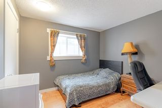 Photo 27: 3904 26 Avenue SE in Calgary: Forest Lawn Semi Detached for sale : MLS®# A1230811