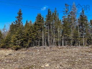 Photo 1: Lot R-8 Road in New Chester: 303-Guysborough County Vacant Land for sale (Highland Region)  : MLS®# 202405529