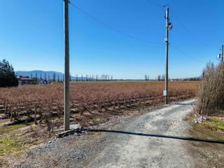 Photo 15: 3815 INTERPROVINCIAL Highway in Abbotsford: Sumas Prairie Land for sale : MLS®# R2862199