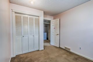 Photo 36: 36 Templeson Road NE in Calgary: Temple Detached for sale : MLS®# A2050364