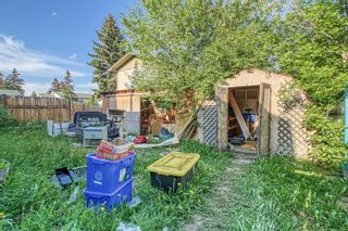 Photo 37: 205 Pineset Place NE in Calgary: Pineridge Semi Detached (Half Duplex) for sale : MLS®# A2052172
