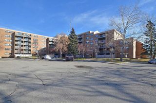 Photo 23: 233 30 Mchugh Court NE in Calgary: Mayland Heights Apartment for sale : MLS®# A2092709