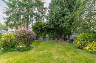 Photo 47: 3758 DUMFRIES Street in Vancouver: Knight House for sale (Vancouver East)  : MLS®# R2590666