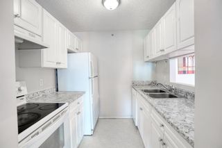 Photo 12: 2408 6224 17 Avenue SE in Calgary: Red Carpet Apartment for sale : MLS®# A2032660