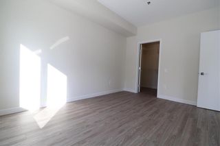 Photo 11: PH10 50 Philip Lee Drive in Winnipeg: Crocus Meadows Condominium for sale (3K)  : MLS®# 202117045