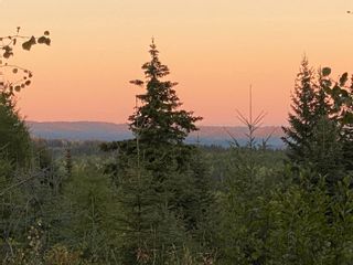 Photo 2: N1/2of DL7871 TAKLA FOREST Road in Prince George: Nechako Ridge Land for sale in "McPhee Road" (PG City North)  : MLS®# R2768067