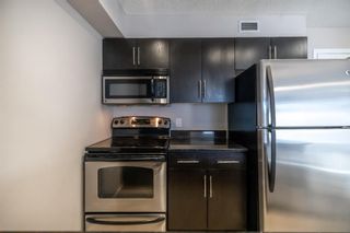 Photo 6: 407 7110 80 Avenue NE in Calgary: Saddle Ridge Apartment for sale : MLS®# A2044289