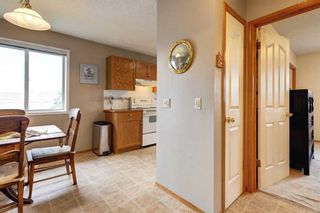 Photo 12: 38 Erin Meadow Crescent SE in Calgary: Erin Woods Detached for sale : MLS®# A2076102