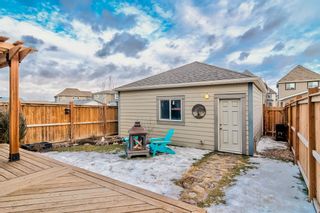 Photo 34: 98 Marquis Common SE in Calgary: Mahogany Detached for sale : MLS®# A1174469