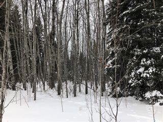 Photo 46: Recreational Land North-East of White Fox in Torch River: Lot/Land for sale (Torch River Rm No. 488)  : MLS®# SK909033