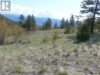 Photo 24: 8900 GILMAN Road in Summerland: Vacant Land for sale : MLS®# 198236