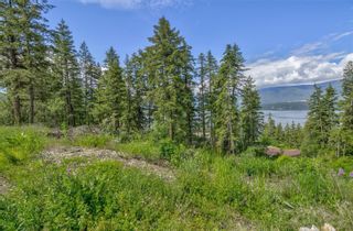 Photo 9: 3541 20 Street, NE in Salmon Arm: Vacant Land for sale : MLS®# 10270340