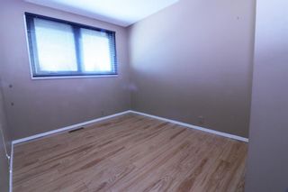 Photo 16: 5424 54 Street NE in Calgary: Falconridge Semi Detached (Half Duplex) for sale : MLS®# A2028888
