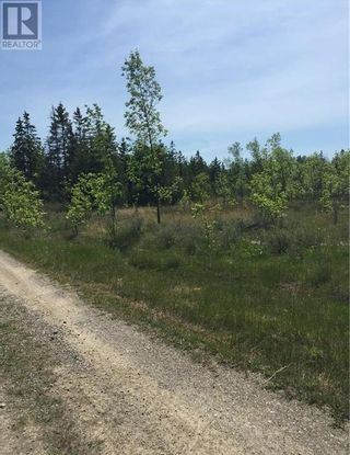 Photo 17: Pt Lt 33 Clover Valley Road E in Manitowaning: Vacant Land for sale : MLS®# 2116051