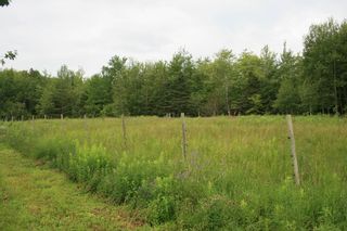 Photo 25: 8089 HIGHWAY 10 in Nictaux South: 400-Annapolis County Farm for sale (Annapolis Valley)  : MLS®# 202001425