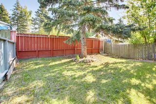Photo 26: 5226 Dalhousie Drive NW in Calgary: Dalhousie Semi Detached (Half Duplex) for sale : MLS®# A1250519