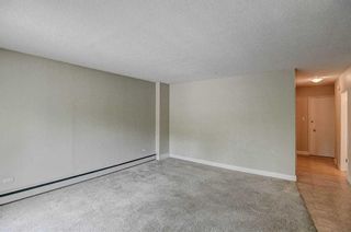 Photo 7: 401 1027 Cameron Avenue SW in Calgary: Lower Mount Royal Apartment for sale : MLS®# A2060947