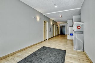 Photo 29: 5206 522 Cranford Drive SE in Calgary: Cranston Apartment for sale : MLS®# A2040234