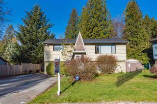 Photo 1: 20943 TANNER Place in Maple Ridge: Northwest Maple Ridge House for sale : MLS®# R2393313