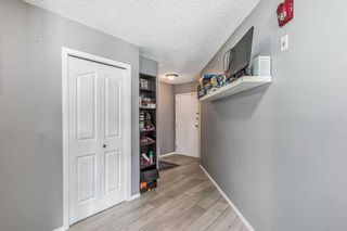 Photo 14: 7101 7101 Valleyview Park SE in Calgary: Dover Apartment for sale : MLS®# A2081363