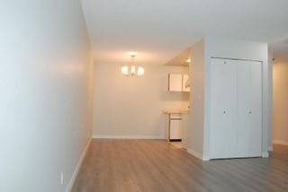 Photo 5: 307 8651 WESTMINSTER Highway in Richmond: Brighouse Condo for sale : MLS®# R2842742