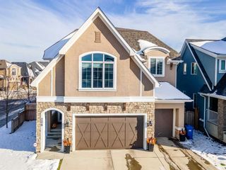 Photo 1: 208 Marquis Landing SE in Calgary: Mahogany Detached for sale : MLS®# A2097538