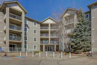 Photo 1: 5309 604 8 Street SW: Airdrie Apartment for sale : MLS®# A2125479