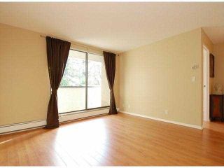 Photo 14: 107 8870 CITATION Drive in Richmond: Brighouse Condo for sale in "CARTWELL MEWS" : MLS®# V1036917