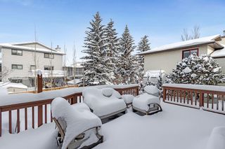 Photo 42: 256 Riverside Mews SE in Calgary: Riverbend Detached for sale : MLS®# A2027133