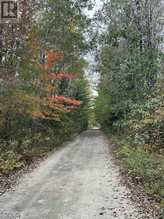 Photo 15: Lot 17 Ridgeview Drive in New Germany: Vacant Land for sale : MLS®# 202321567