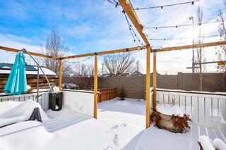 Photo 47: 224 Panorama Hills Place NW in Calgary: Panorama Hills Detached for sale : MLS®# A2116865