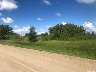 Photo 4: Advertising Wedge in Meadow Lake: Lot/Land for sale (Meadow Lake Rm No.588)  : MLS®# SK888522