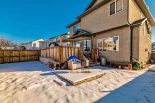 Photo 46: 348 Oakmere Way: Chestermere Detached for sale : MLS®# A1203085