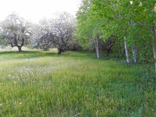 Photo 6: 11 Palmer Road in Harmony: 404-Kings County Vacant Land for sale (Annapolis Valley)  : MLS®# 202006110