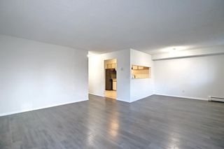 Photo 9: 202 225 25 Avenue SW in Calgary: Mission Apartment for sale : MLS®# A1163942