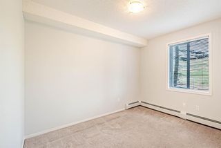 Photo 13: 113 3000 Citadel Meadow Point NW in Calgary: Citadel Apartment for sale : MLS®# A1215450
