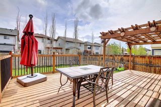 Photo 32: 43 Chapalina Close SE in Calgary: Chaparral Detached for sale : MLS®# A1234431