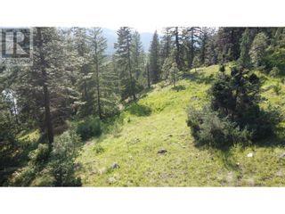 Photo 13: 40 Acres Shuswap River Drive in Lumby: Vacant Land for sale : MLS®# 10268876