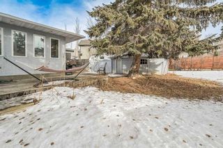 Photo 42: 2824 31 Street SW in Calgary: Killarney/Glengarry Detached for sale : MLS®# A2105329