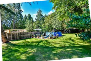 Photo 12: 14297 MELROSE Drive in Surrey: Bolivar Heights House for sale (North Surrey)  : MLS®# R2307641