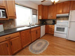 Photo 8: 413 ALBERT Street SE: Airdrie Residential Detached Single Family for sale : MLS®# C3613791
