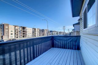 Photo 42: 58 Canals Circle SW: Airdrie Detached for sale : MLS®# A1158303