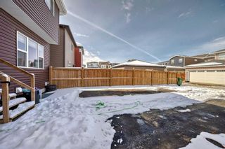 Photo 39: 456 Cornerstone Passage NE in Calgary: Cornerstone Detached for sale : MLS®# A2117512