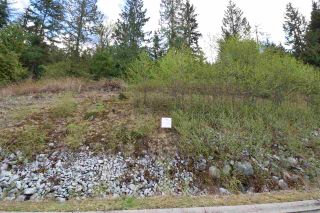 Photo 8: 1920 NORTH CHARLOTTE Road in Port Moody: Anmore Land for sale in "Pinnacle Ridge Estates" : MLS®# R2531764