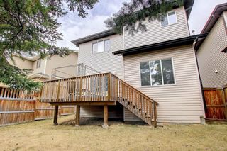 Photo 48: 336D Silvergrove Place NW in Calgary: Silver Springs Detached for sale : MLS®# A1199863